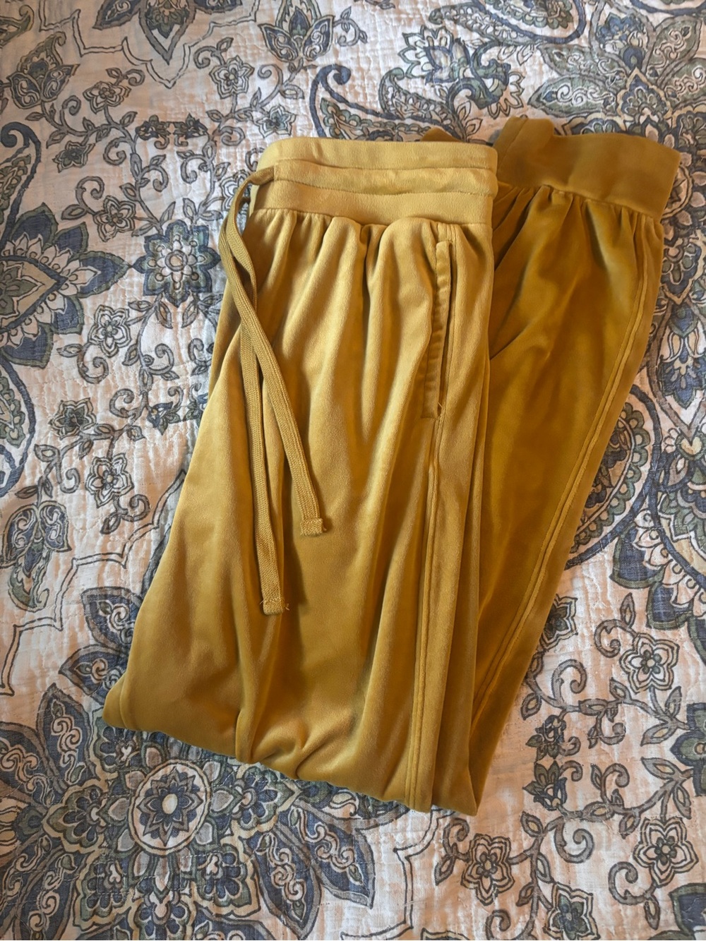 Drawstring Velvet Jogger Pants — Mustard Anthropologie Saturday Sunday brand